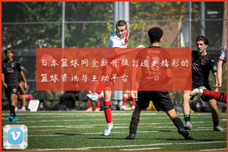 日本篮球网全新升级打造更精彩的篮球资讯与互动平台