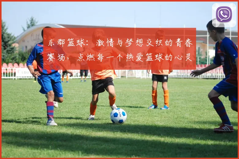 东郡篮球：激情与梦想交织的青春赛场，点燃每一个热爱篮球的心灵